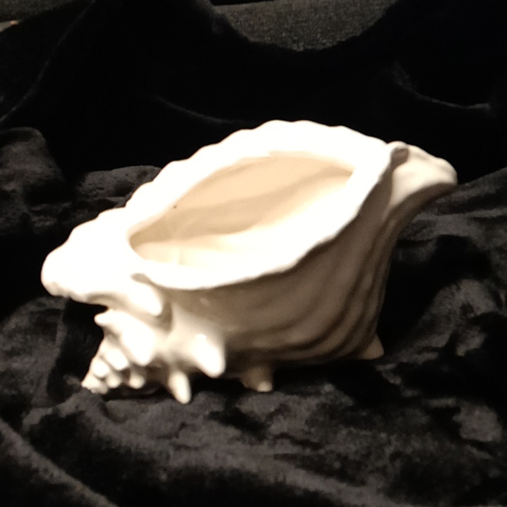 Sea shell small succulent planter